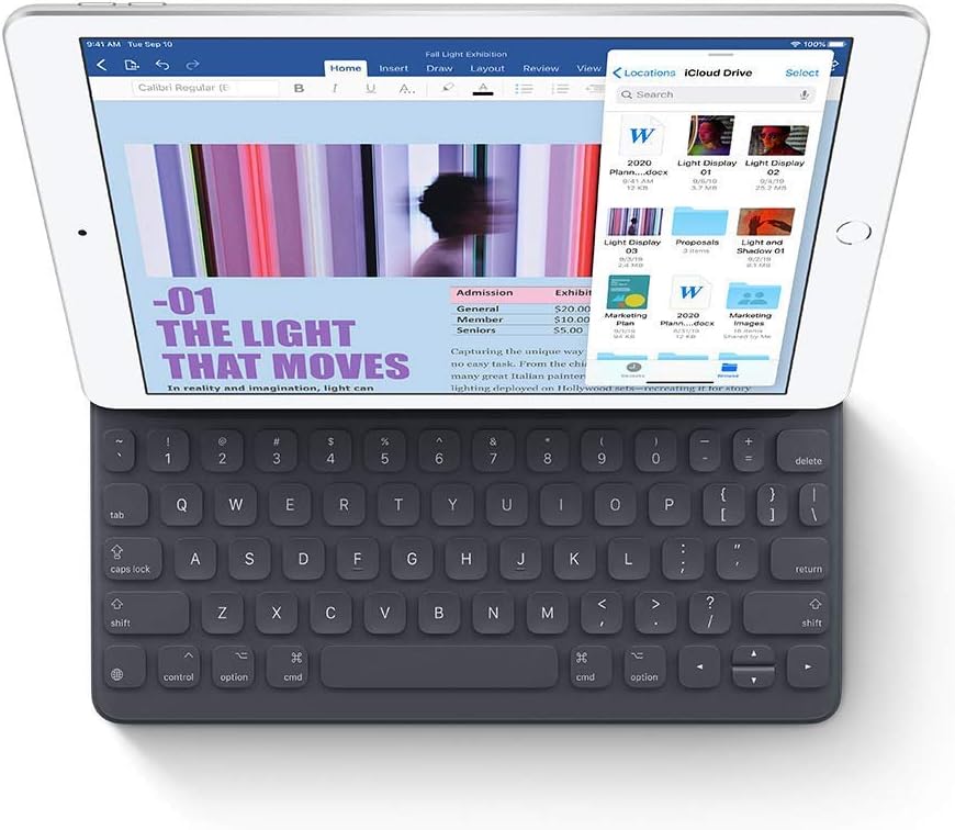 Apple 2019 iPad (10.2-inch, Wi-Fi, 32GB) - Space Gray (Renewed Premium)