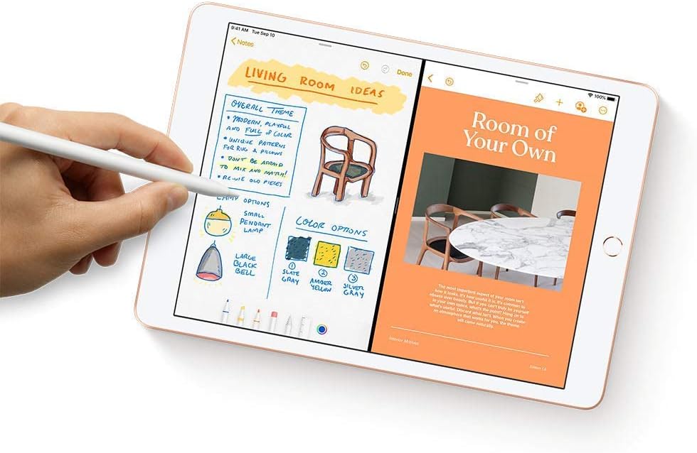 Apple 2019 iPad (10.2-inch, Wi-Fi, 32GB) - Space Gray (Renewed Premium)