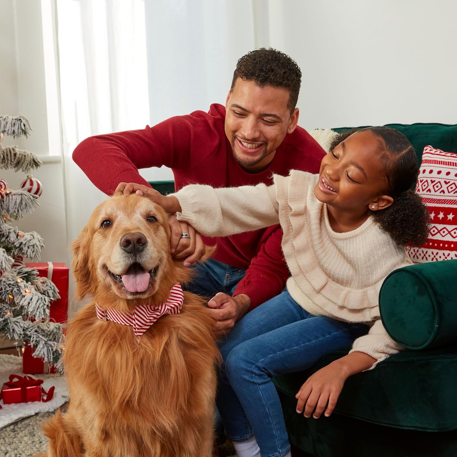 Milk-Bone Holiday 12 Day Treat Calendar, 2.85 oz Box